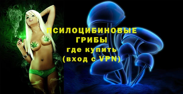 кокс Елизово
