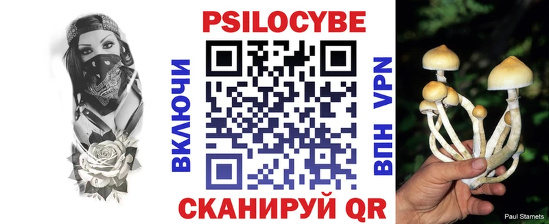 Галлюциногенные грибы Magic Shrooms  Заволжье 